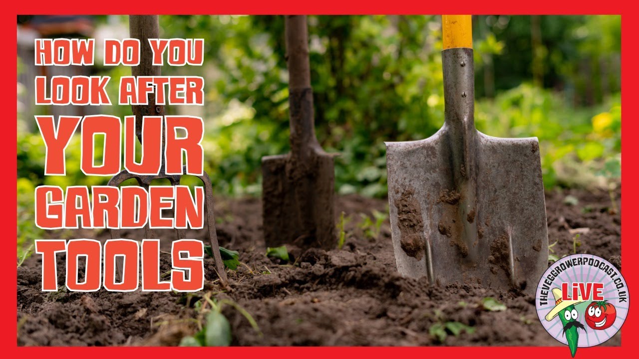 🔴live: How do you look after your garden tools?