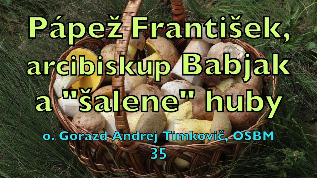 Timkovic 35 Papez Frantisek, arcibiskup Babjak a 