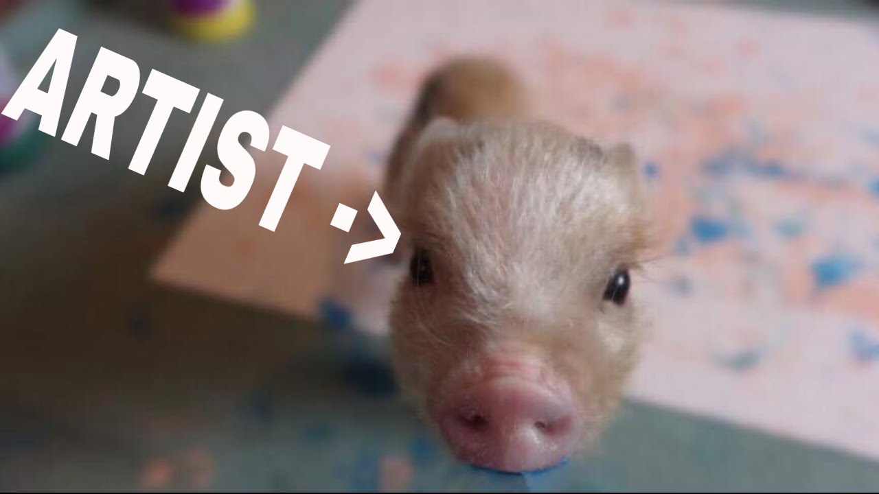 MINI PIGS PAINTING