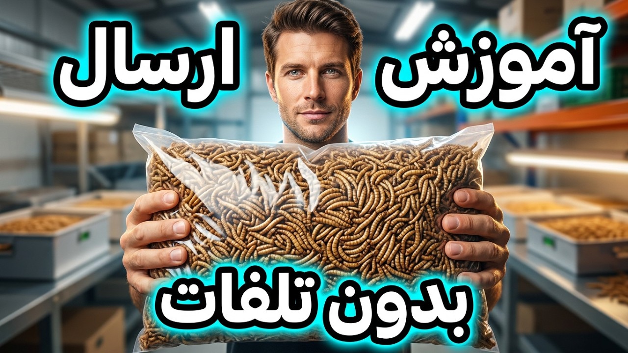روش ارسال میلورم زنده , روش بسته بندی و نگهداری میلورم خشک , آموزش پرورش میلورم