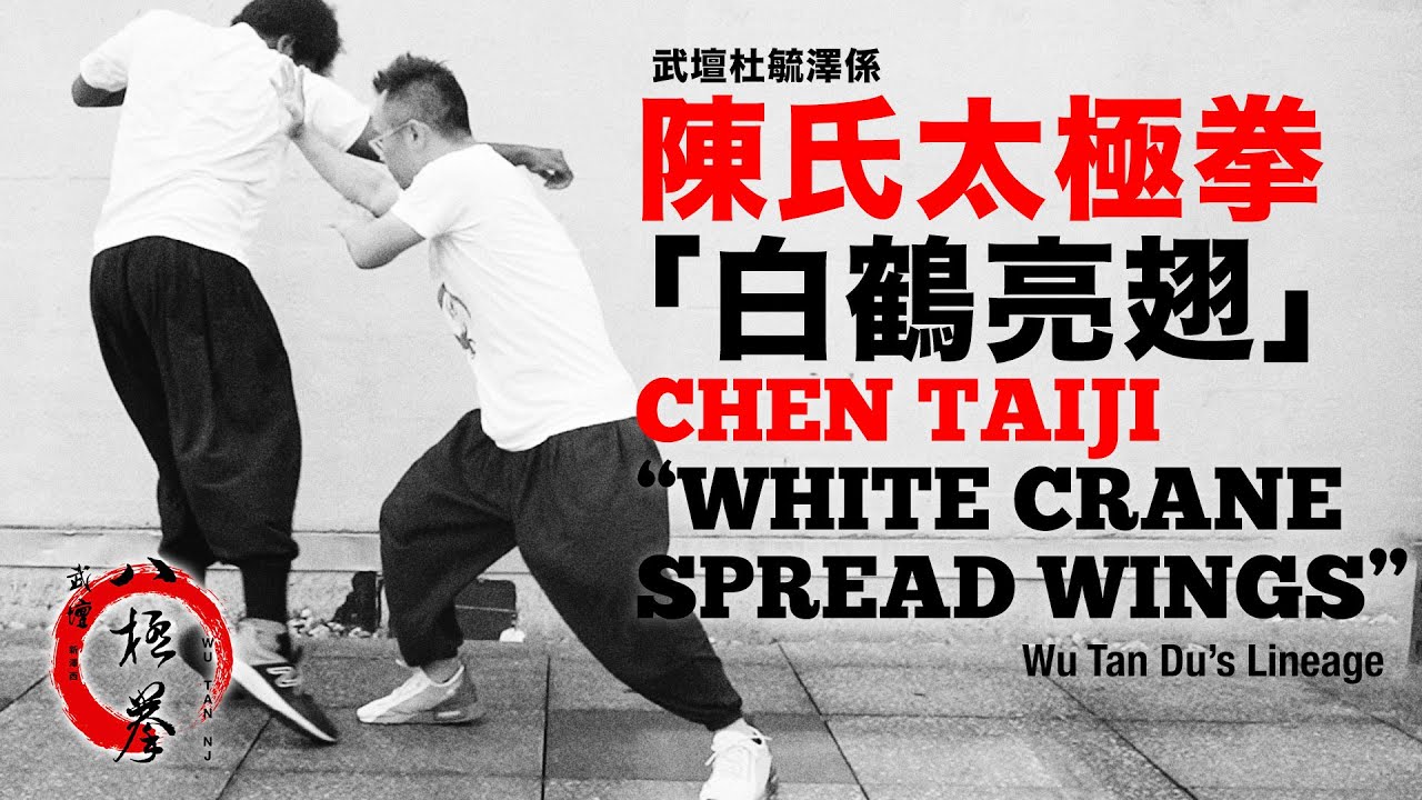 武壇杜毓澤係陳氏太極之『白鶴亮翅』WuTan Du's Lineage Chen TaiChi 