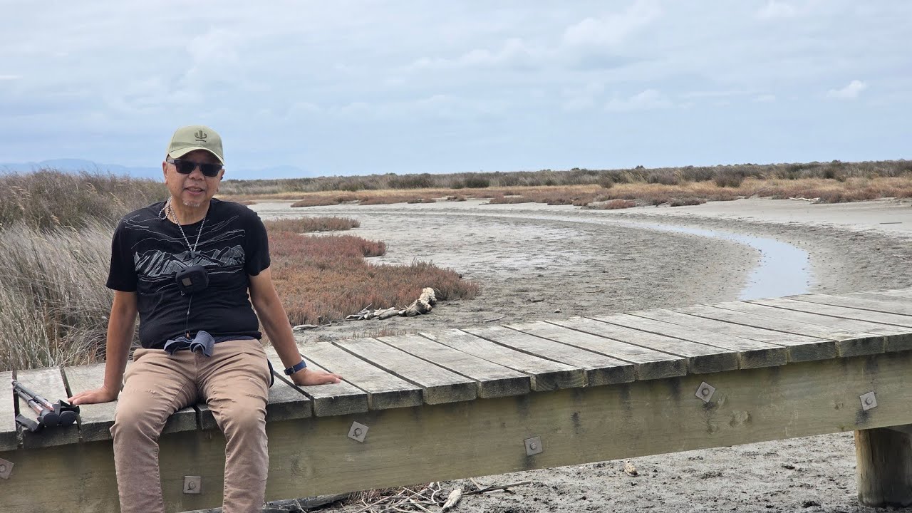 Wairau Lagoons loop walkway and the wreck of the T.S.S Waverley