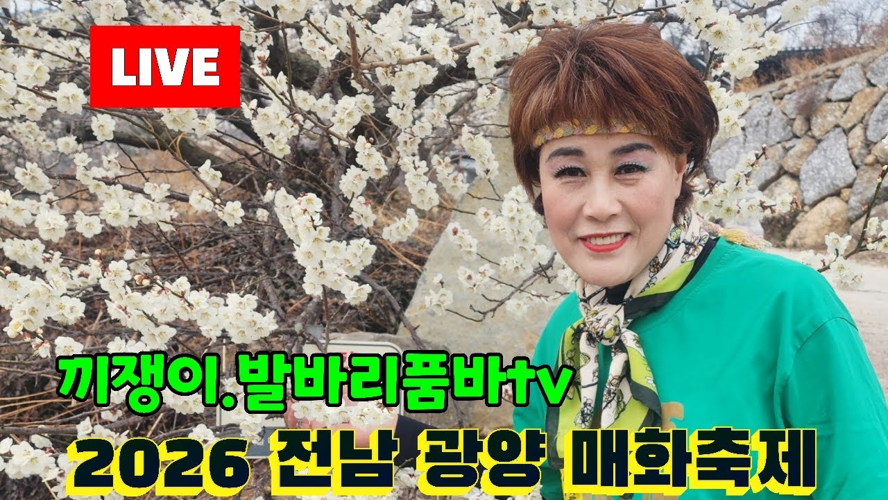 끼쟁이 발바리 품바 tv 광양매화축제.