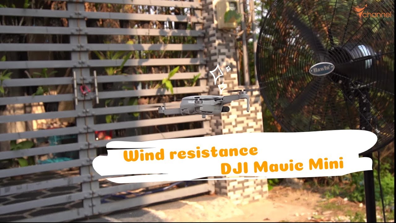 ✅ Test the wind resistance ability of DJI  Mavic Mini in-depth detail