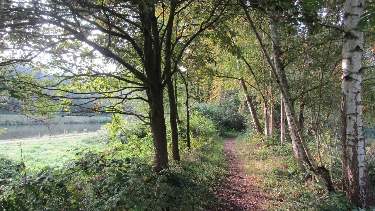 Herfstmorgen aan de Warmoeshoek in Gent door Catherine Boone