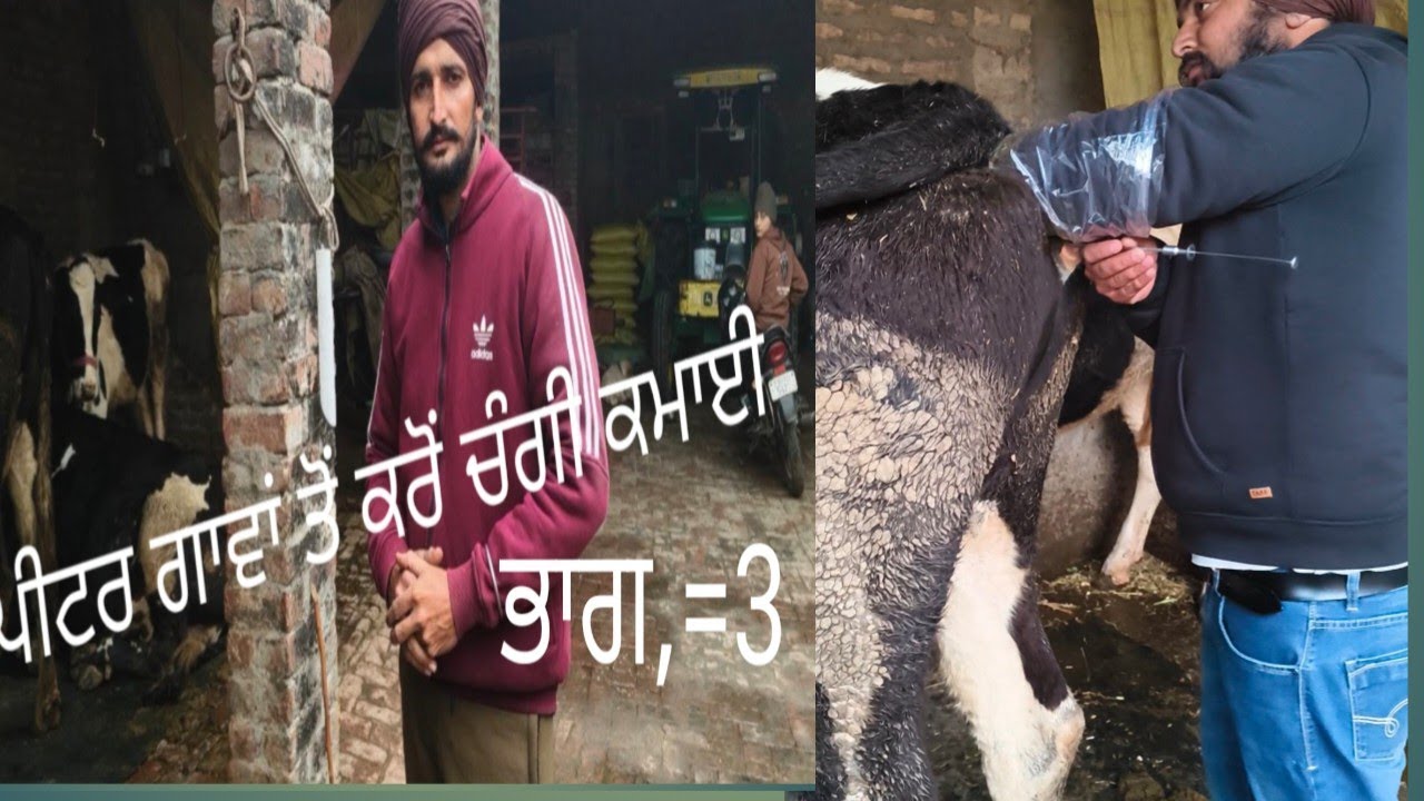 ਰਪੀਟਰ ਗਾਮਾ ਤੋਂ ਕਰੋ ਚੰਗੀ ਕਮਾਈ ਭਾਗ --3