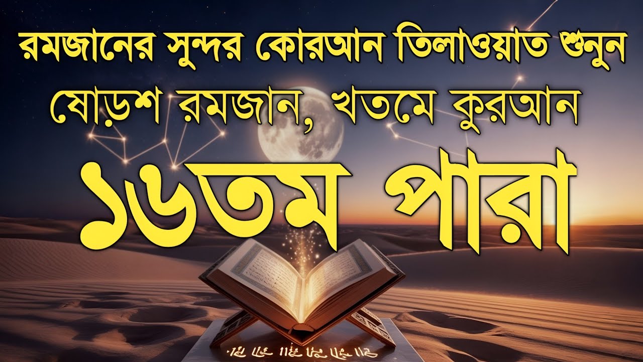 রমজানের ১৬তম দিনের পবিত্র তেলাওয়াত | ১৬ নাম্বার পারা | Ramadan Special Tilawat