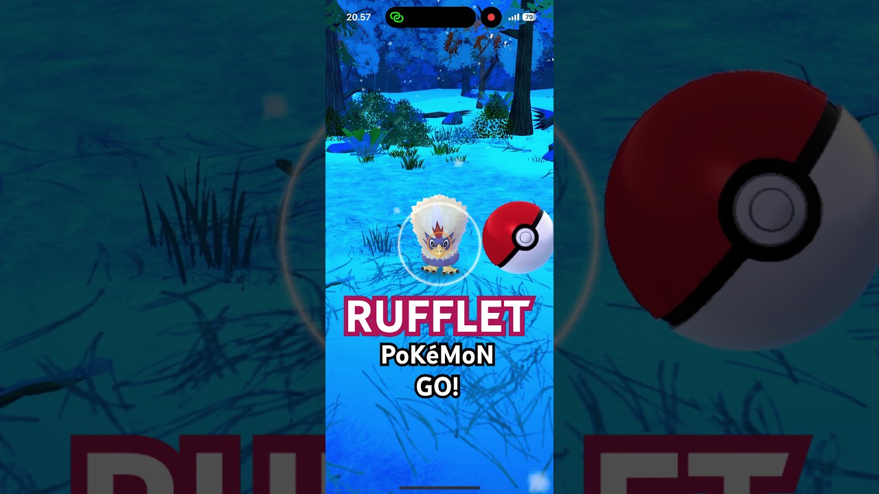 Pokemon GO | Rufflet 