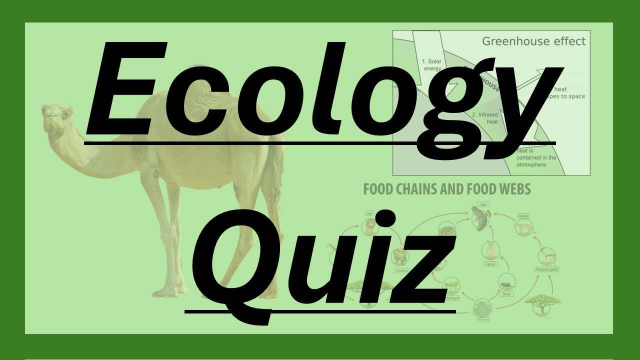 ECOLOGY Quiz - GCSE Biology