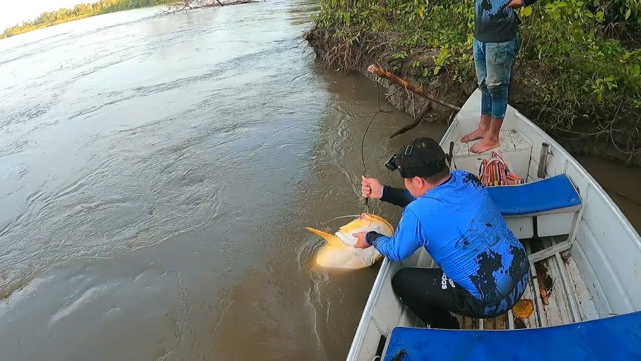 Pesca , carne asada , fiesta llanera y monstruos de rio .