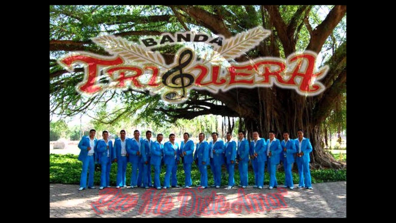 BANDA TRIGUERA CUMBIAS MIX dj kiky