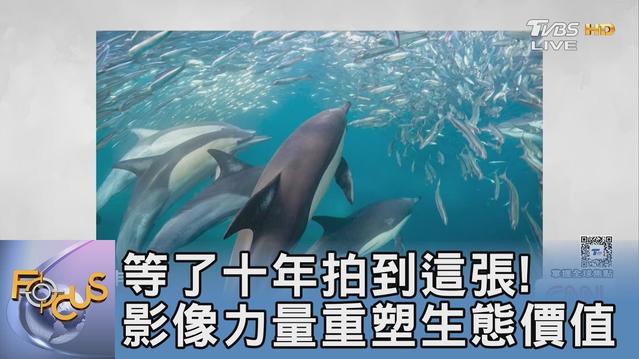 等了十年拍到這張! 影像力量重塑生態價值｜FOCUS午間新聞 20260313 @TVBSNEWS01