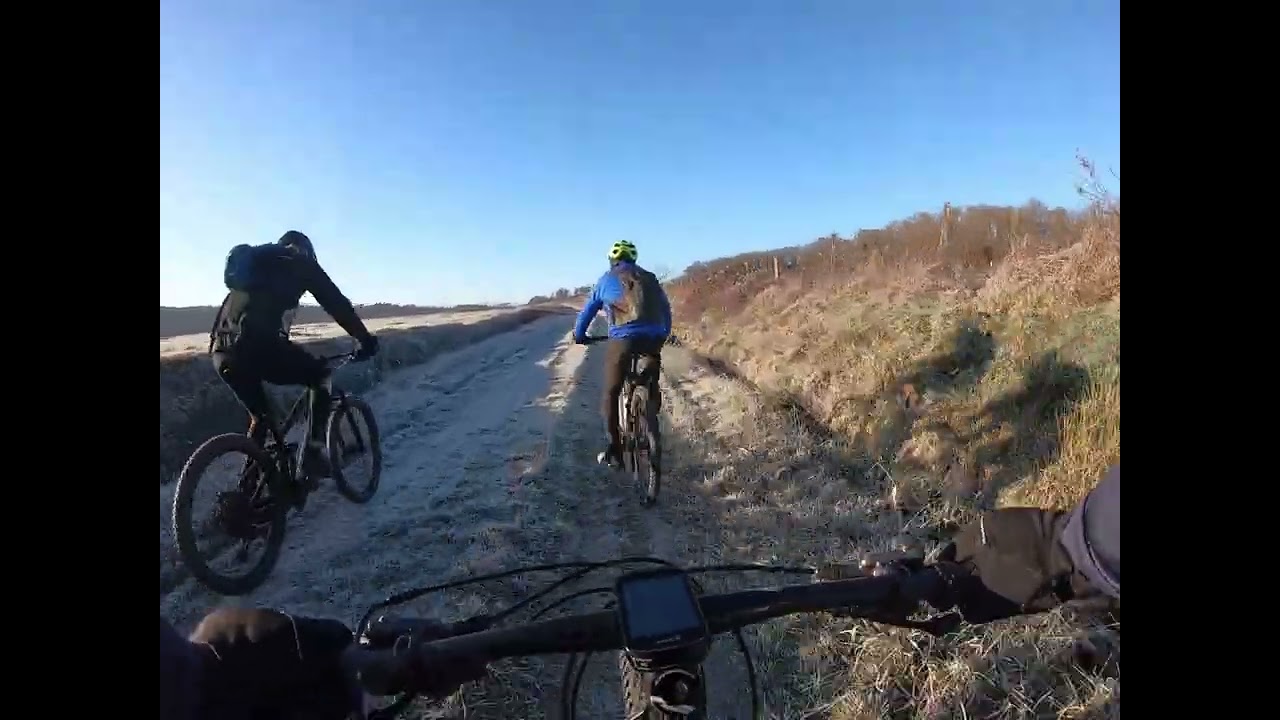 VTT