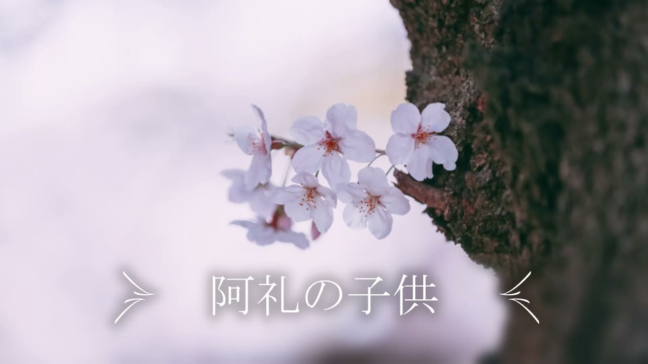 【東方アレンジ】阿礼の子供【宇佐見化々】