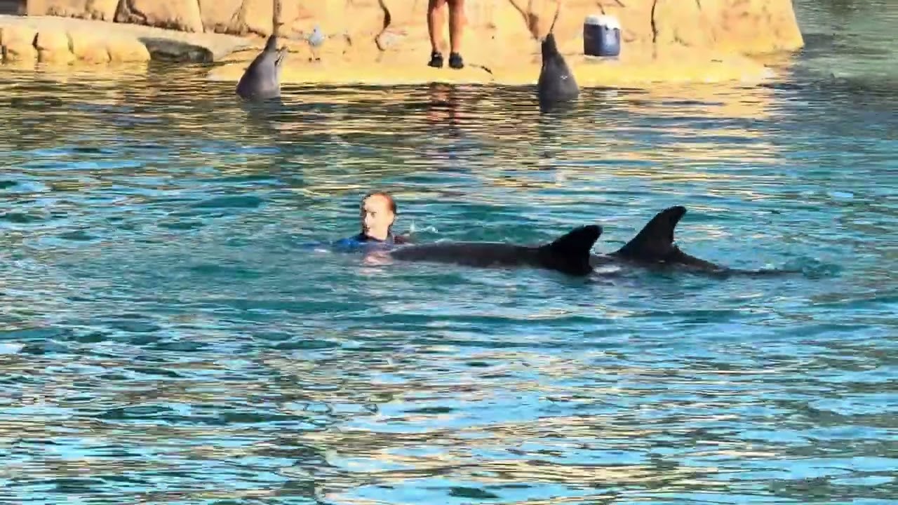 SEA WORLD 