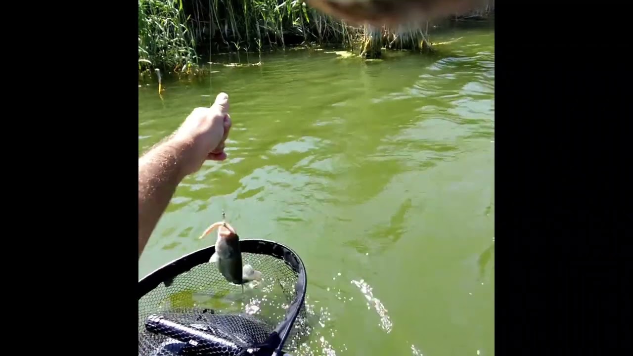 Belly boat ultimate explorer