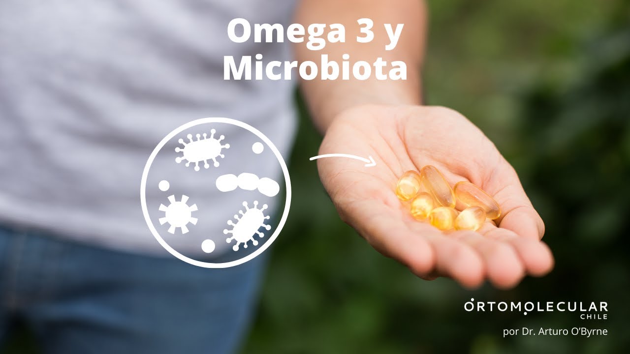 omega 3 y microbiota por Dr. Arturo O´Byrne