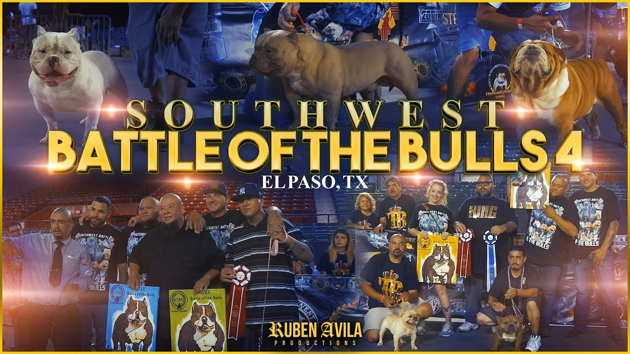 Southwest Battle of The Bulls 4 | BULLY SHOW EVENT COVERAGE 2019