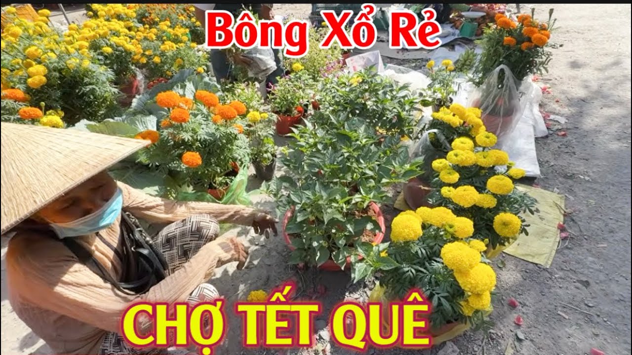 Mỹ Duyên đi chợ Tết Quê 29 Tết bông xổ quá rẻ #myduyen #tet #tetque 