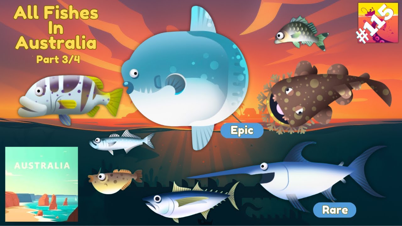 Creatures Of The Deep : All Fishes in Australia (3/4)
