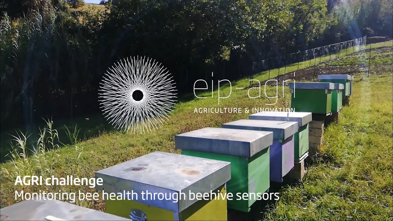 AGRI challenge: Monitoring bee health through beehive sensors