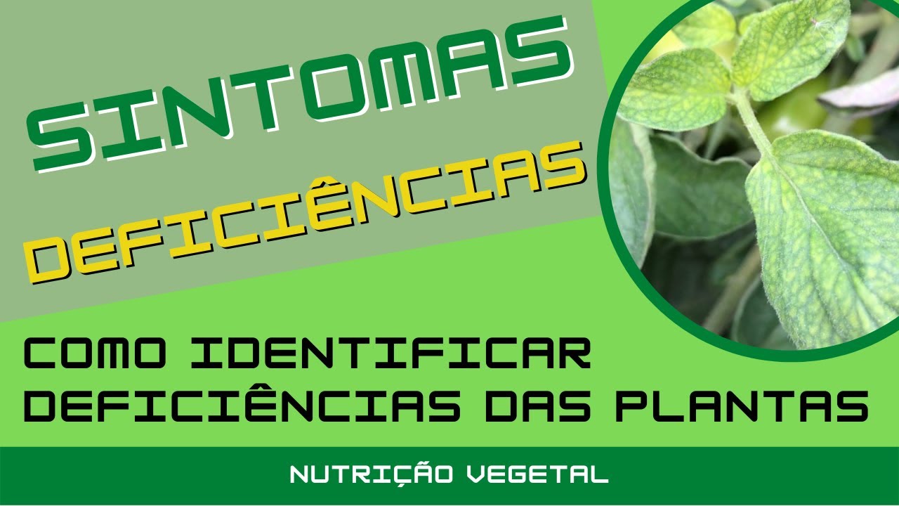 Como identificar deficiências das plantas (12/30)