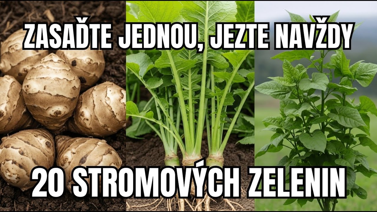 Těchto 20 Druhů Zeleniny Roste Jako Ovocné STROMY! Zasadíš Jednou, Jíš Navždy