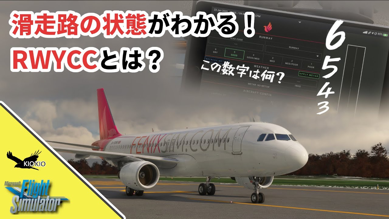 RWYCC、SNOWTAMって何？冬場のフライトで役立つ知識を解説！【フライトシミュレーター】