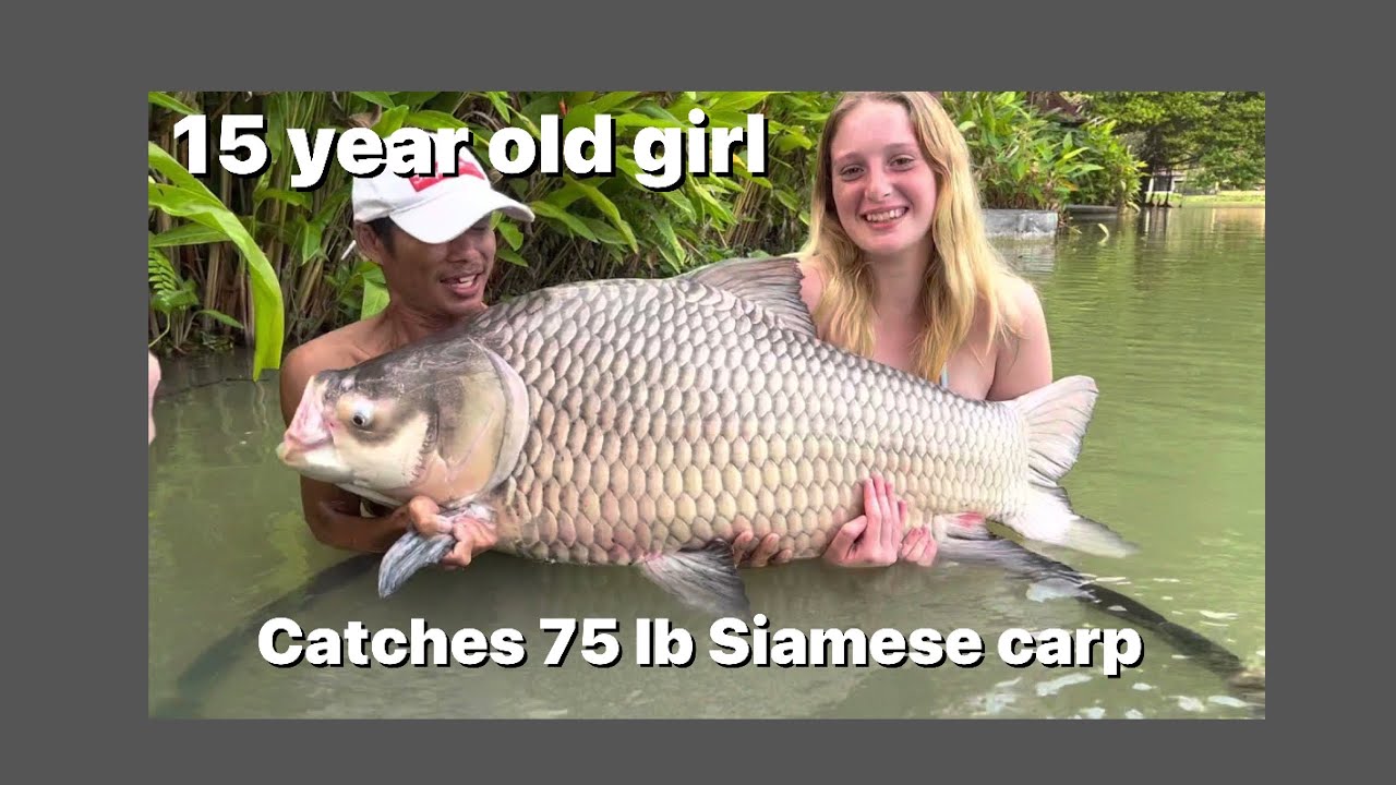 Gillhams fishery in Thailand, 15 year old landing a 75lb Siamese carp.