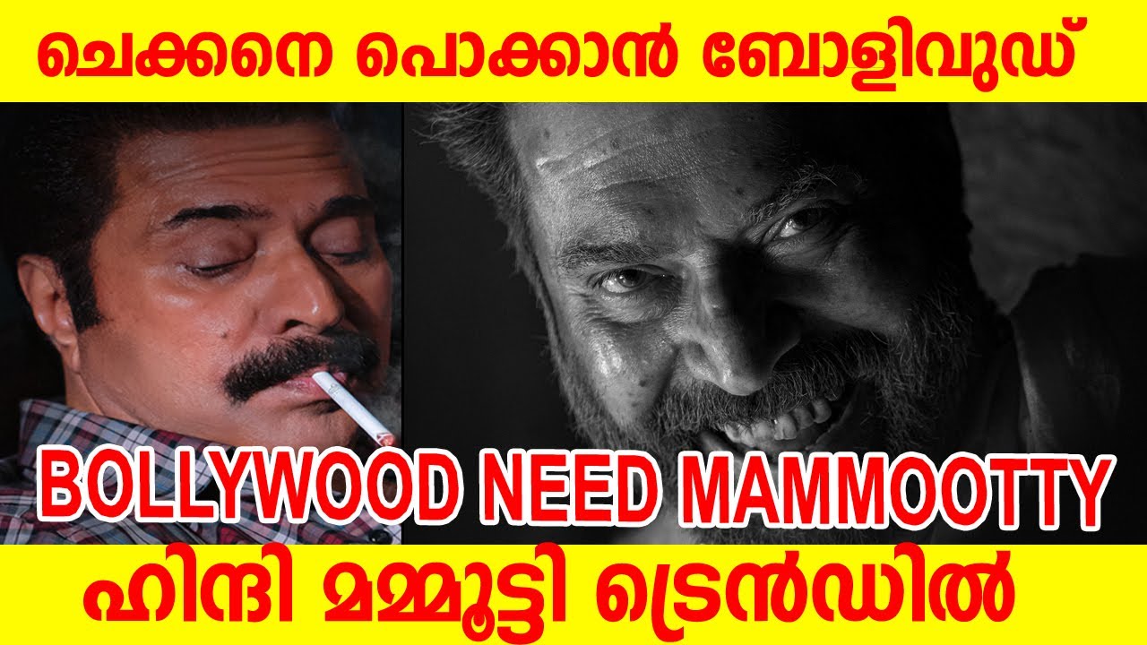 🔥ചെക്കനെ പൊക്കാൻ ബോളിവുഡ് മമ്മൂട്ടി ട്രെൻഡിൽ ഹിന്ദി |#bollywood NEED MAMMOOTTY #kalamkaval