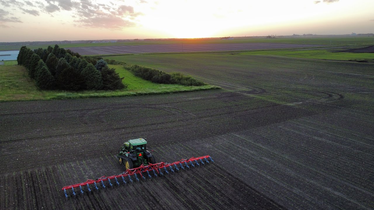 Organic Farming | Row Crop Cultivating |