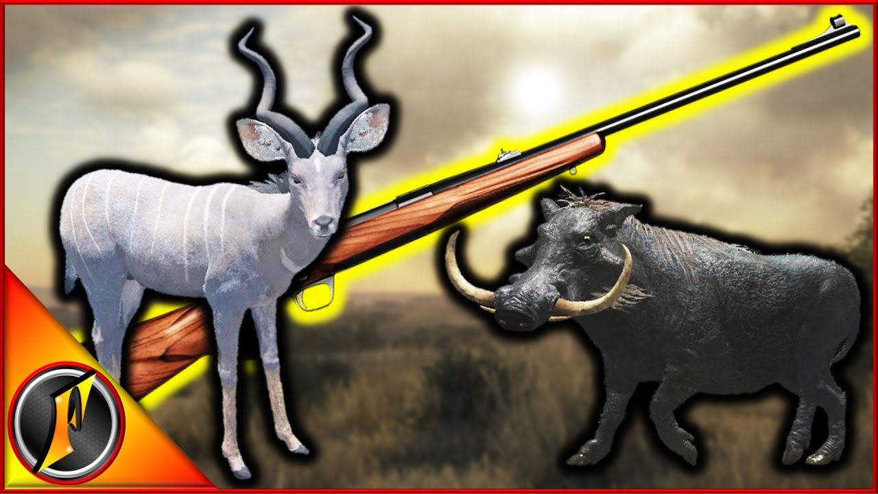 Kudu & Warthog VS .243! | theHunter Call of the Wild