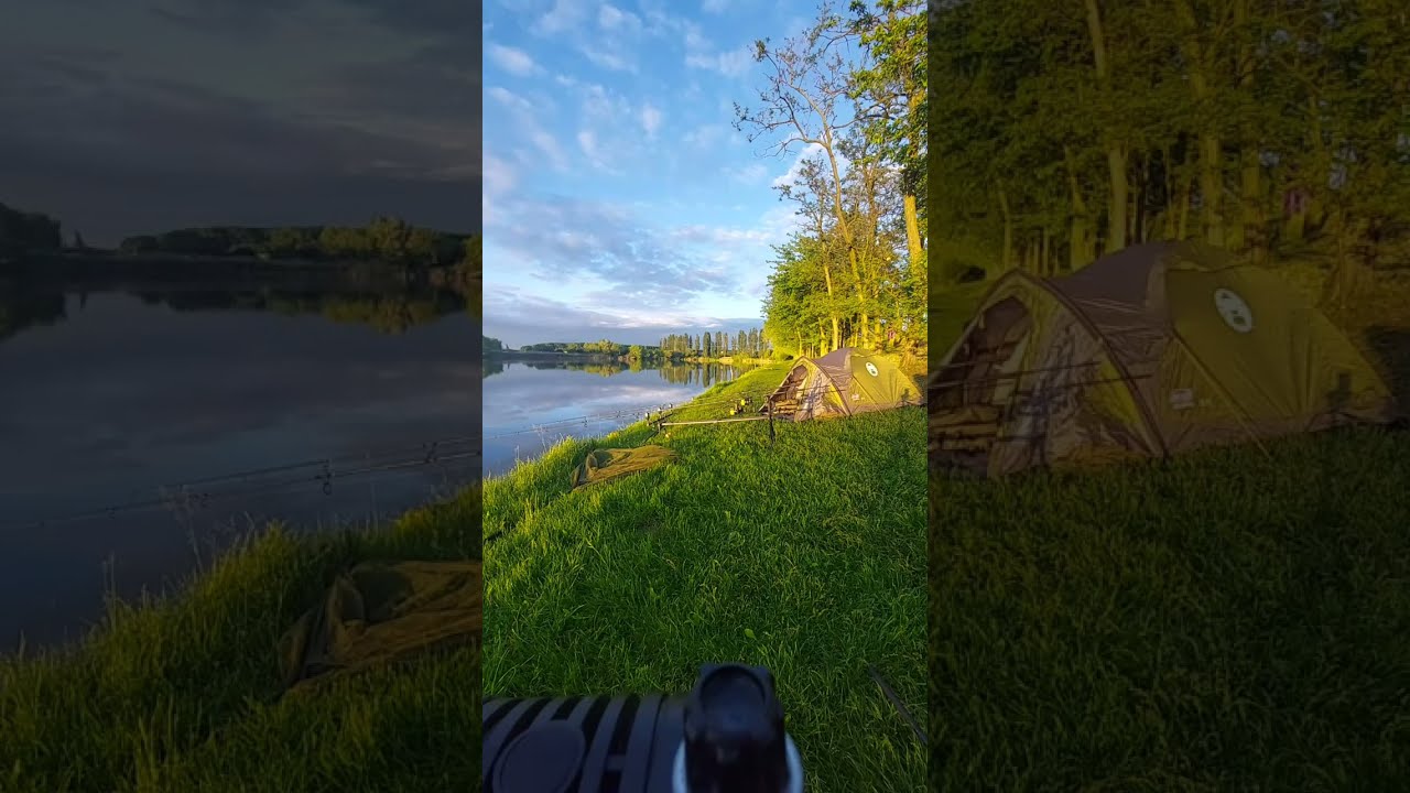 MMA Fishing Team is live!