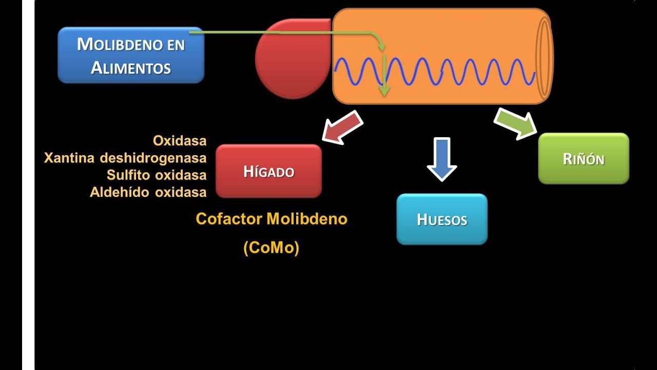 Minerales: Molibdeno