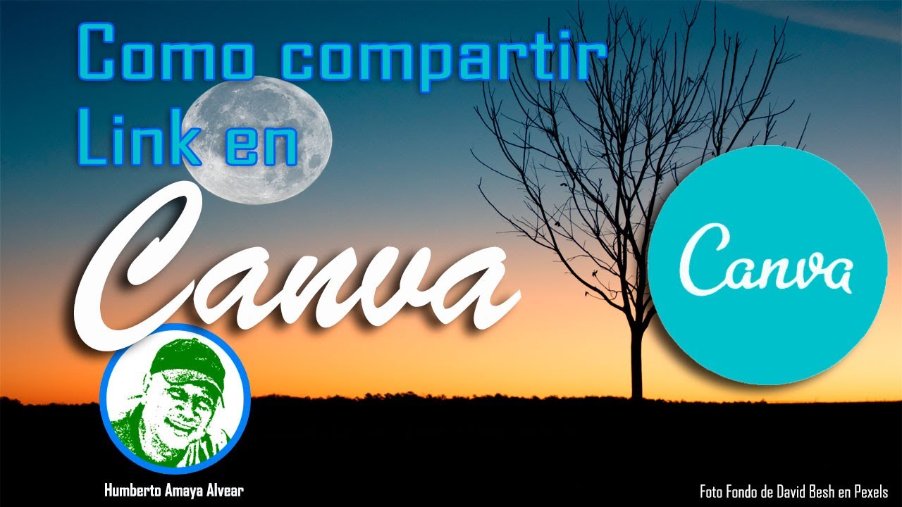 Compartir link en CANVA
