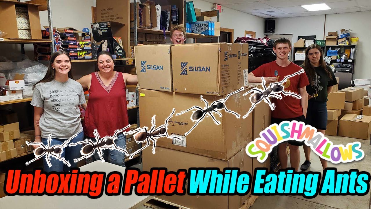 Unboxing a Pallet While the Staff is Eating Ants, & Squishing Boxes, and Showing Candy! We Have Fun!