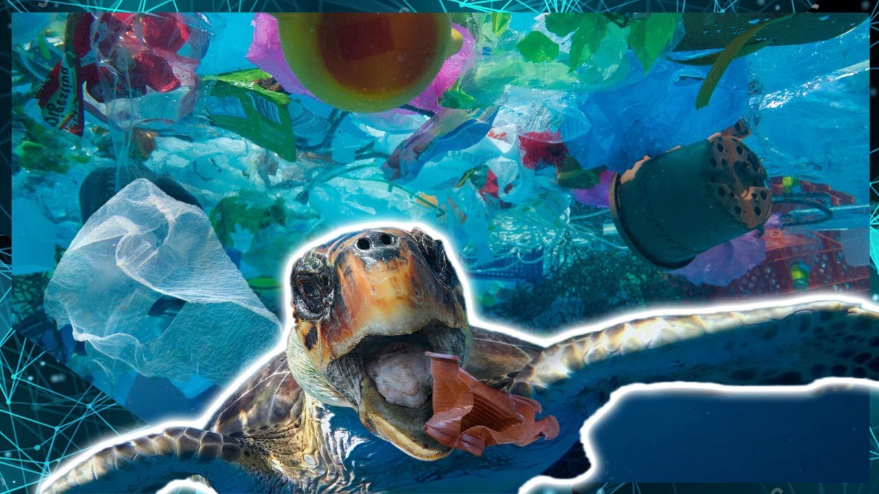 O Problema dos Pl&aacute;sticos nos Oceanos (Como Limpar?) 🗑️🌊