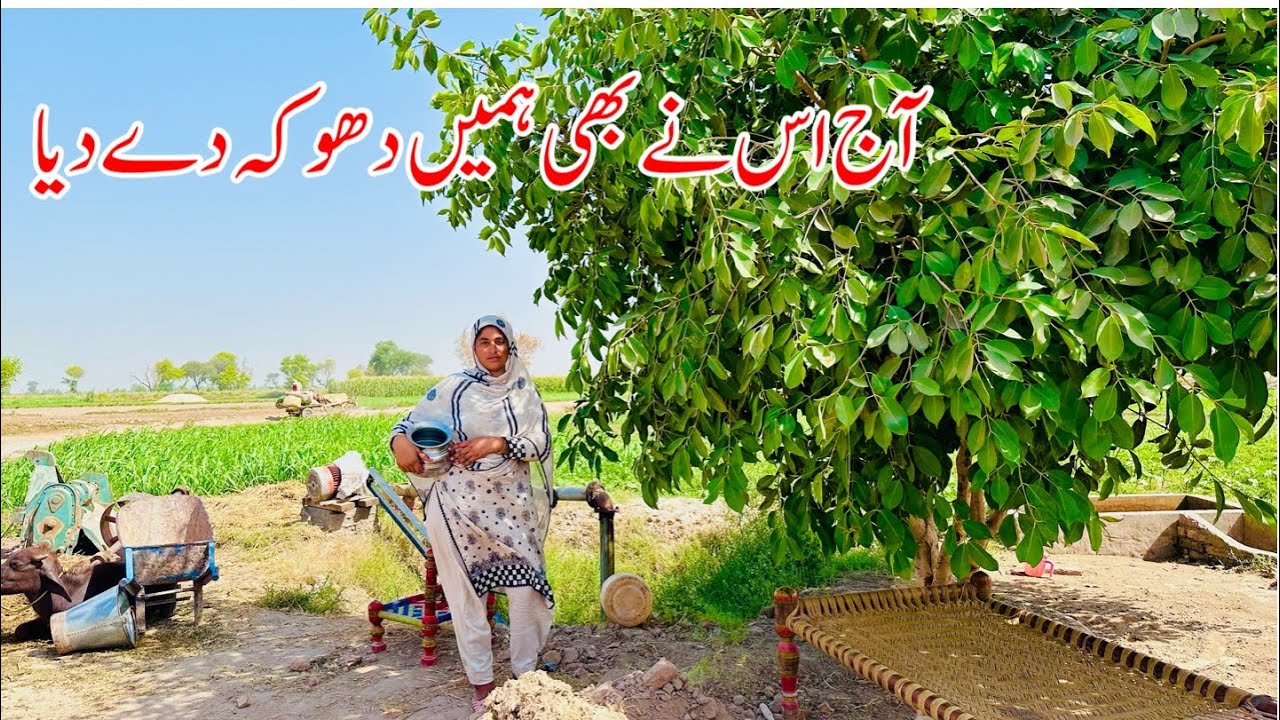 Aaj Es Ne Hamain Dhoka De Diya I Happy Joint Family I Mud House Life