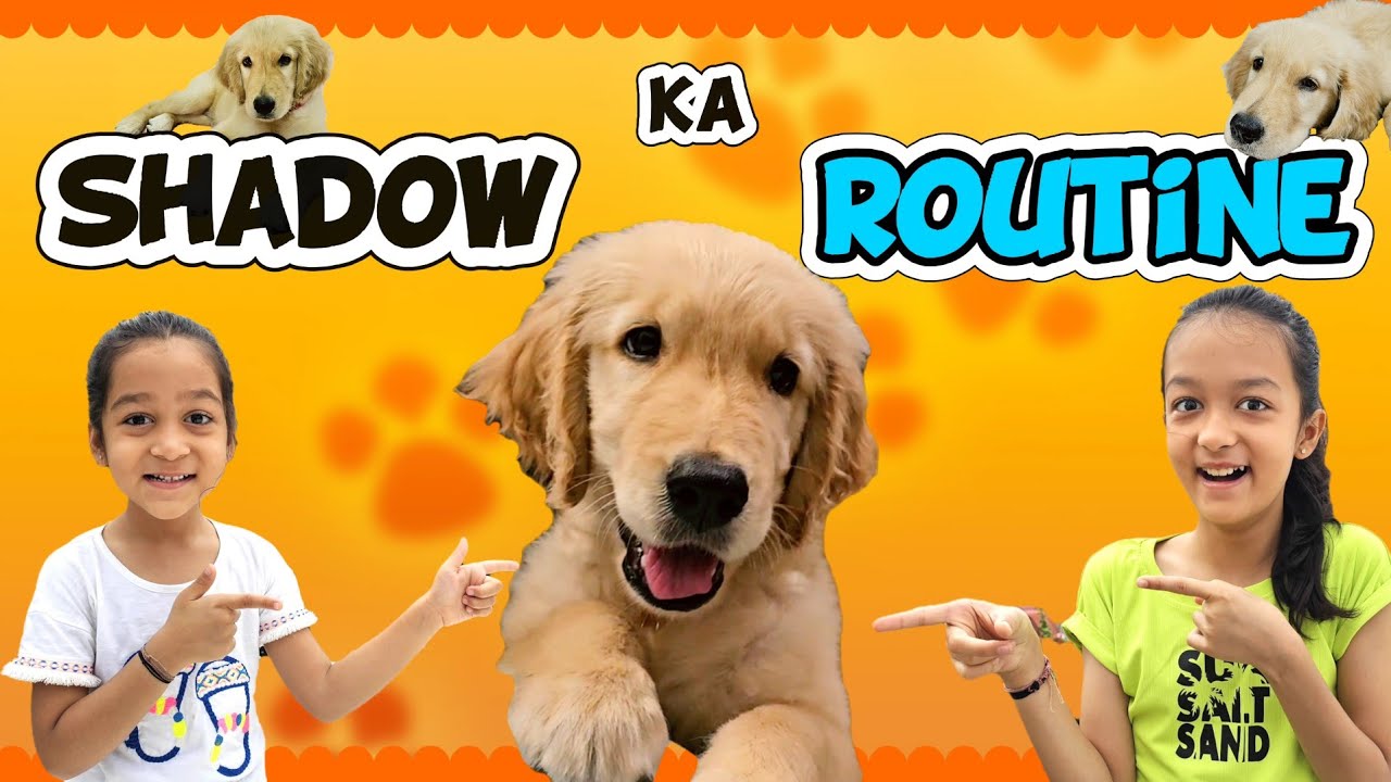 SHADOW Ka ROUTINE 🐕⏰️😍🤩 | Daily Routine | Family Vlog | Dog Lover | Aayu and Vanu