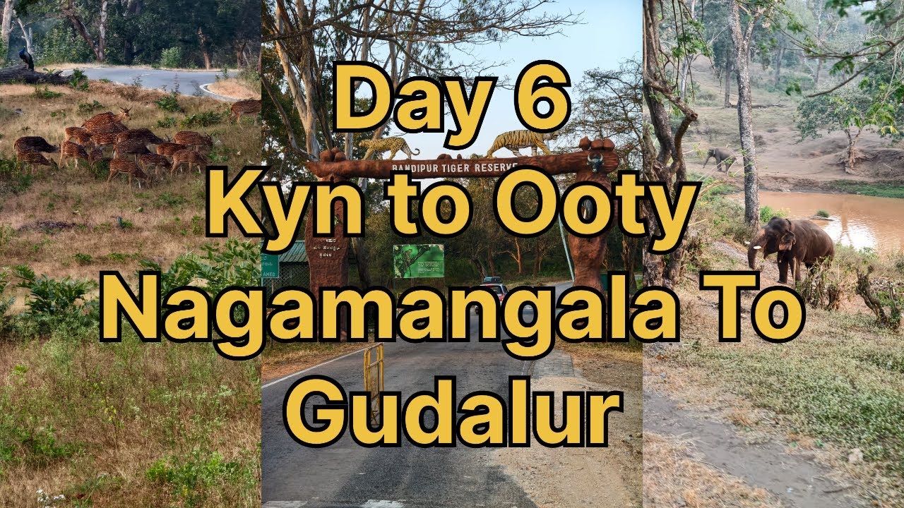 Day 6 KYN to OOTY (nagmangala to gudalur)