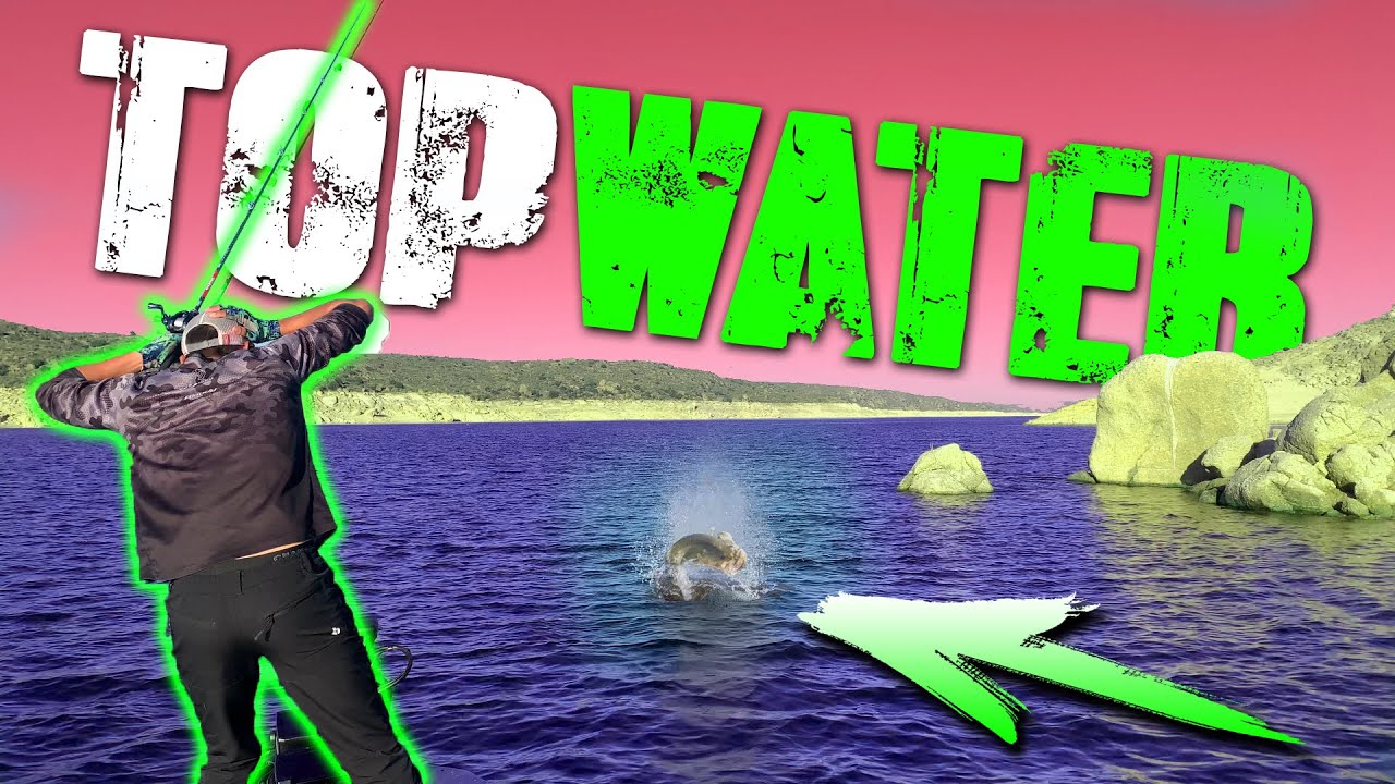 PESCA del BLACK BASS en SUPERFICIE con PASEANTES *TOPWATER*