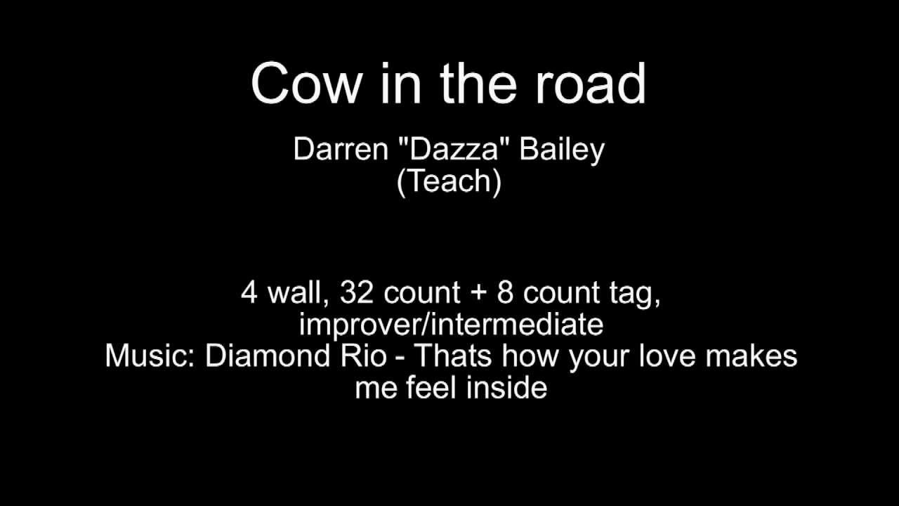 Cow in the road - by Darren Bailey (teach)
