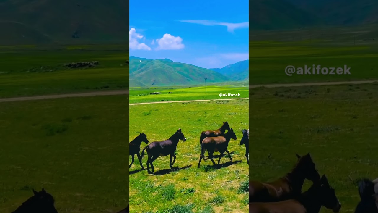 Feraşin Yaylası | Beyt&uuml;şşebap | Şırnak