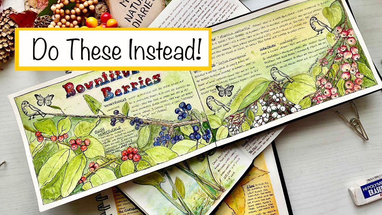 4 Things NOT to Do in Your Sketchbook/Nature Journal Vlog