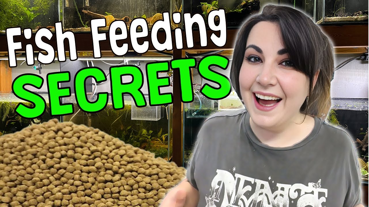 Feed your fish like a Pro