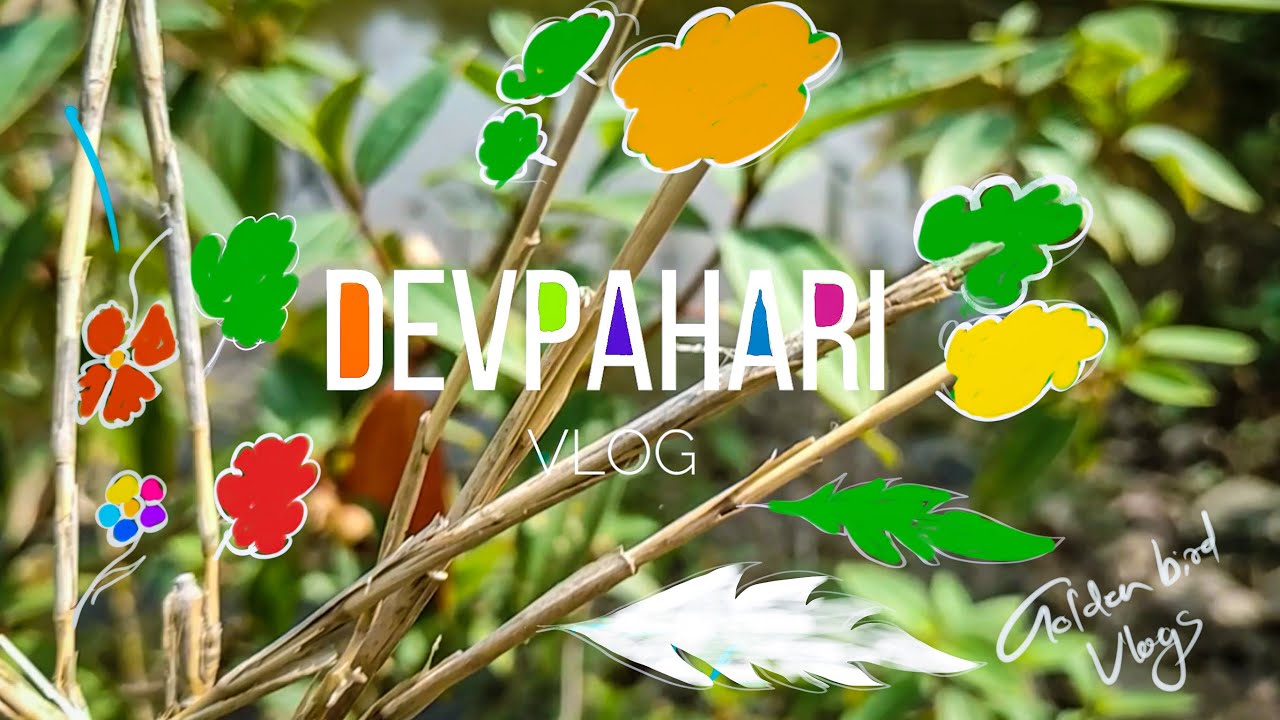 Devpahari Waterfall | Aaretra Lemru Korba Chhattisgarh | Korba picnic spot | Golden Bird Vlogs