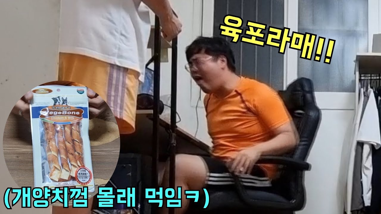 이빨 대충 닦는형 개양치껌 몰래 먹이기ㅋㅋ
