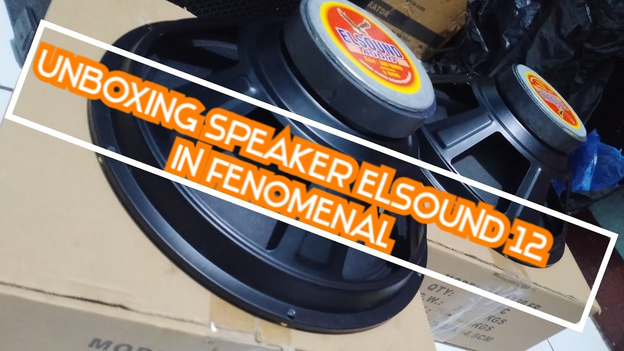 unboxing spk ELSOUND 12-300W+ REVIEW BOX BASS REFLEK desain MILANDIES pastime