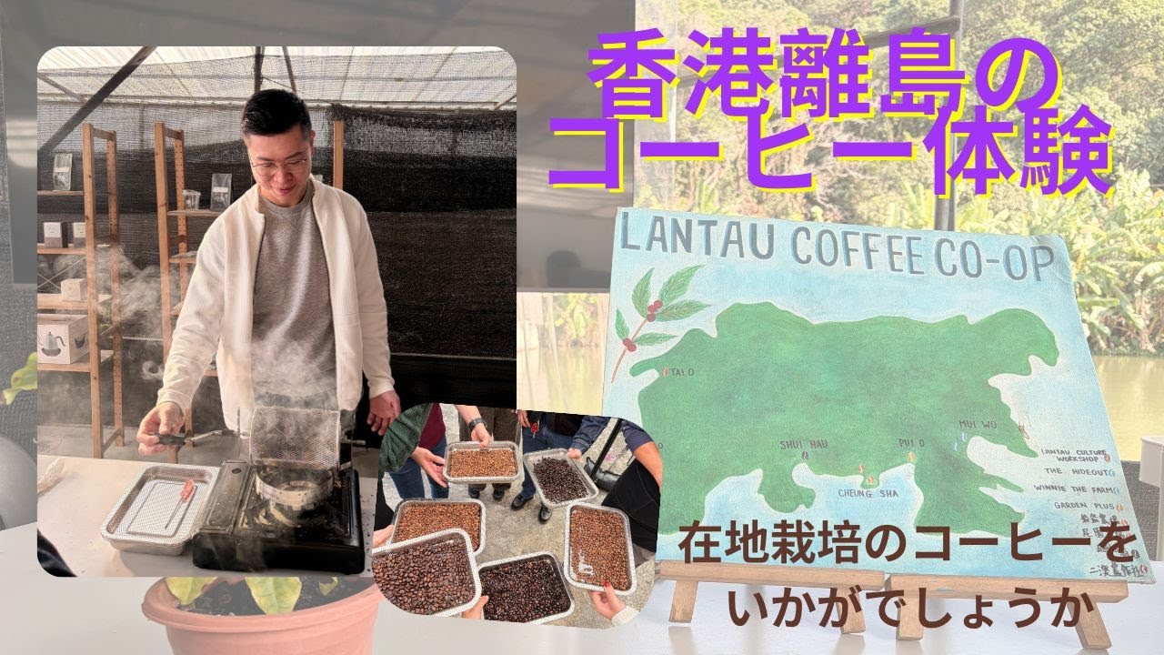 香港離島のコーヒー体験｜在地栽培のコーヒー｜繁華以外自然との活動