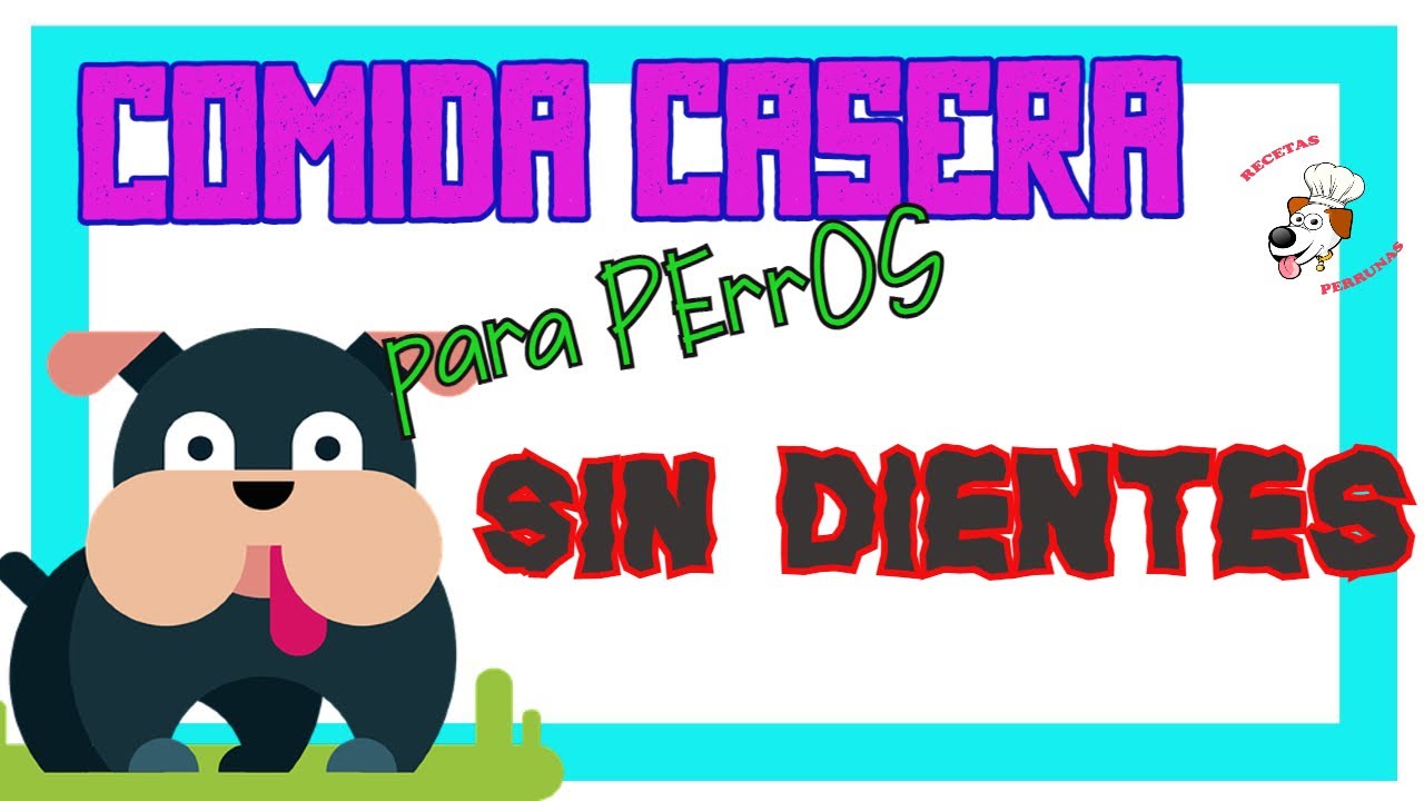 🥣 COMIDA para PERROS SIN DIENTES 💚✅